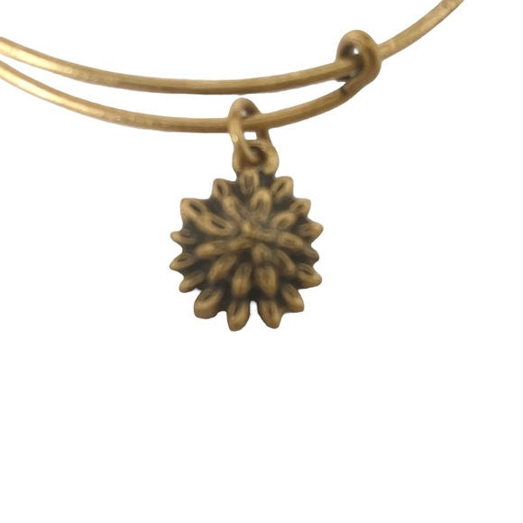 new Alex and Ani ꥟ Sacred Garden - Water Lily Charm Bangle Bracelet ꥟ Gold - Picture 8 of 14